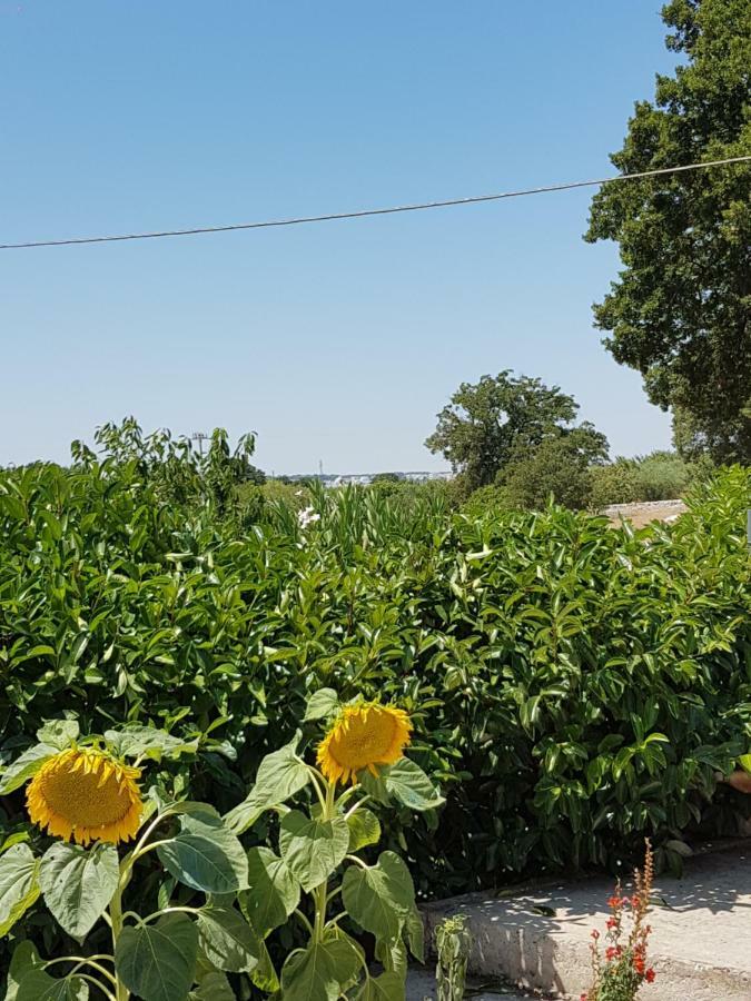 Trulli Della Masseria Staffone Альберобелло Экстерьер фото
